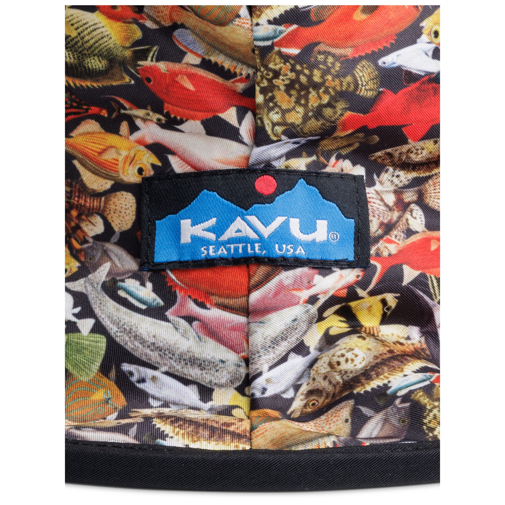 #colour_Fish Line