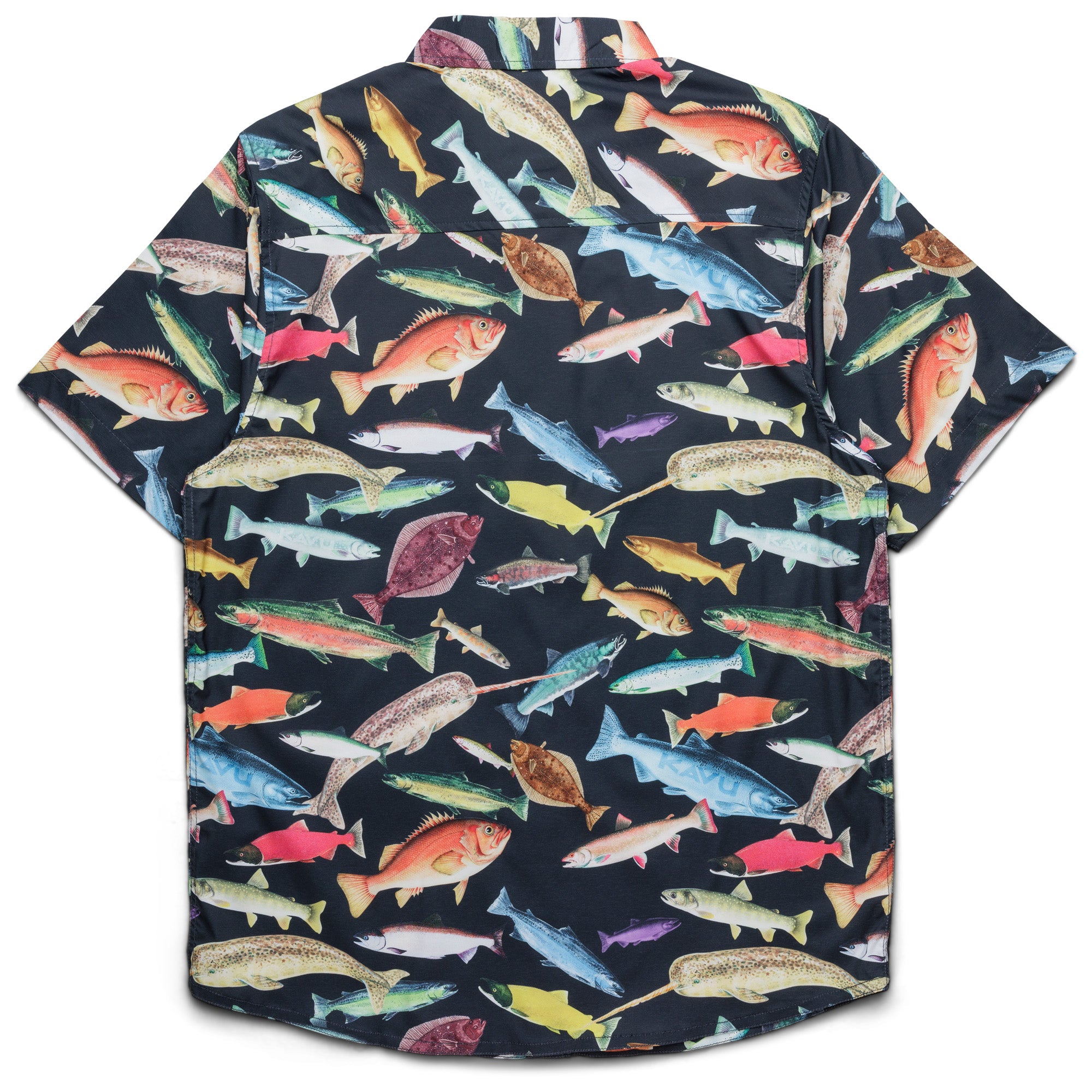 #colour_Fish Fest 25