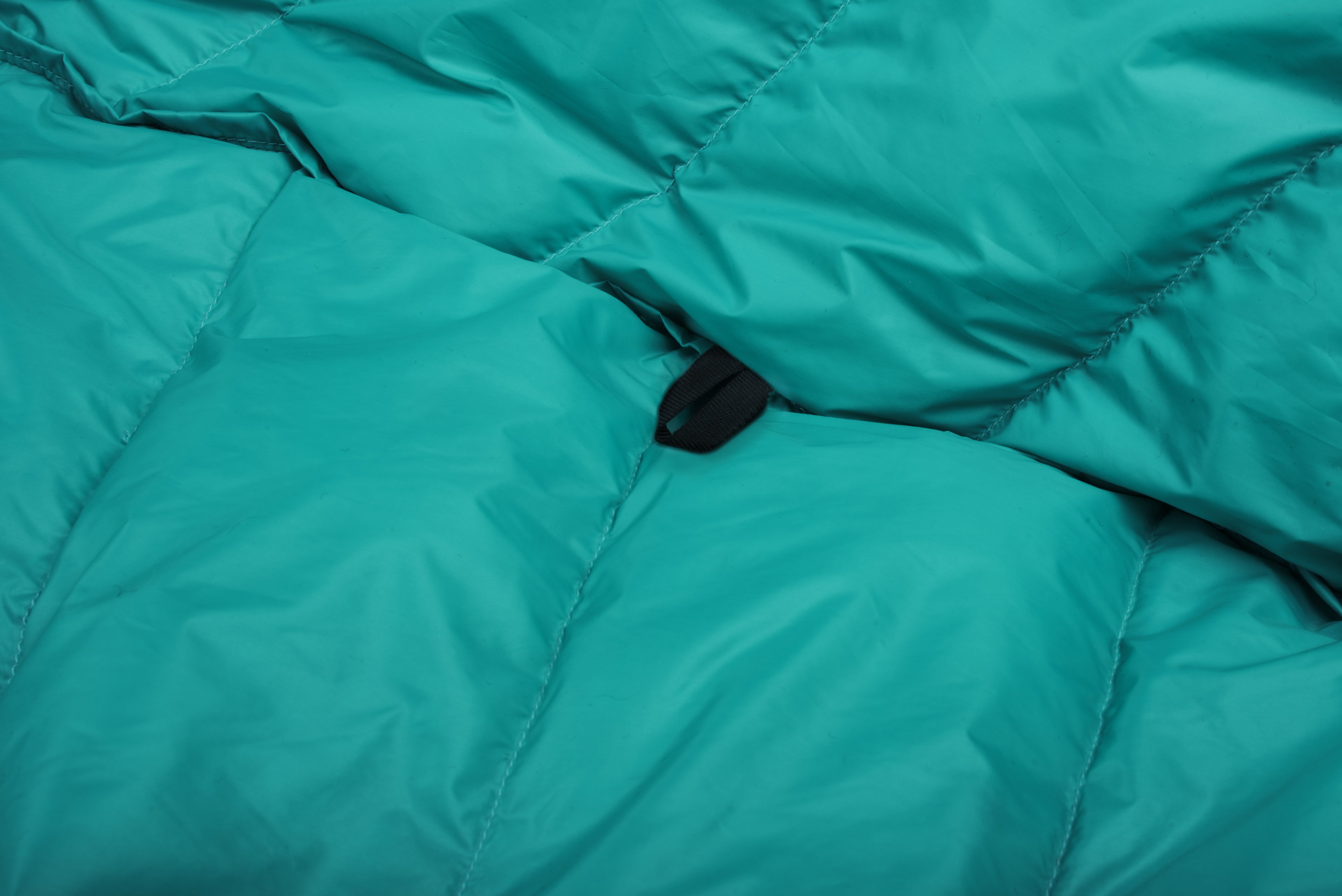 #colour_Viridian Green