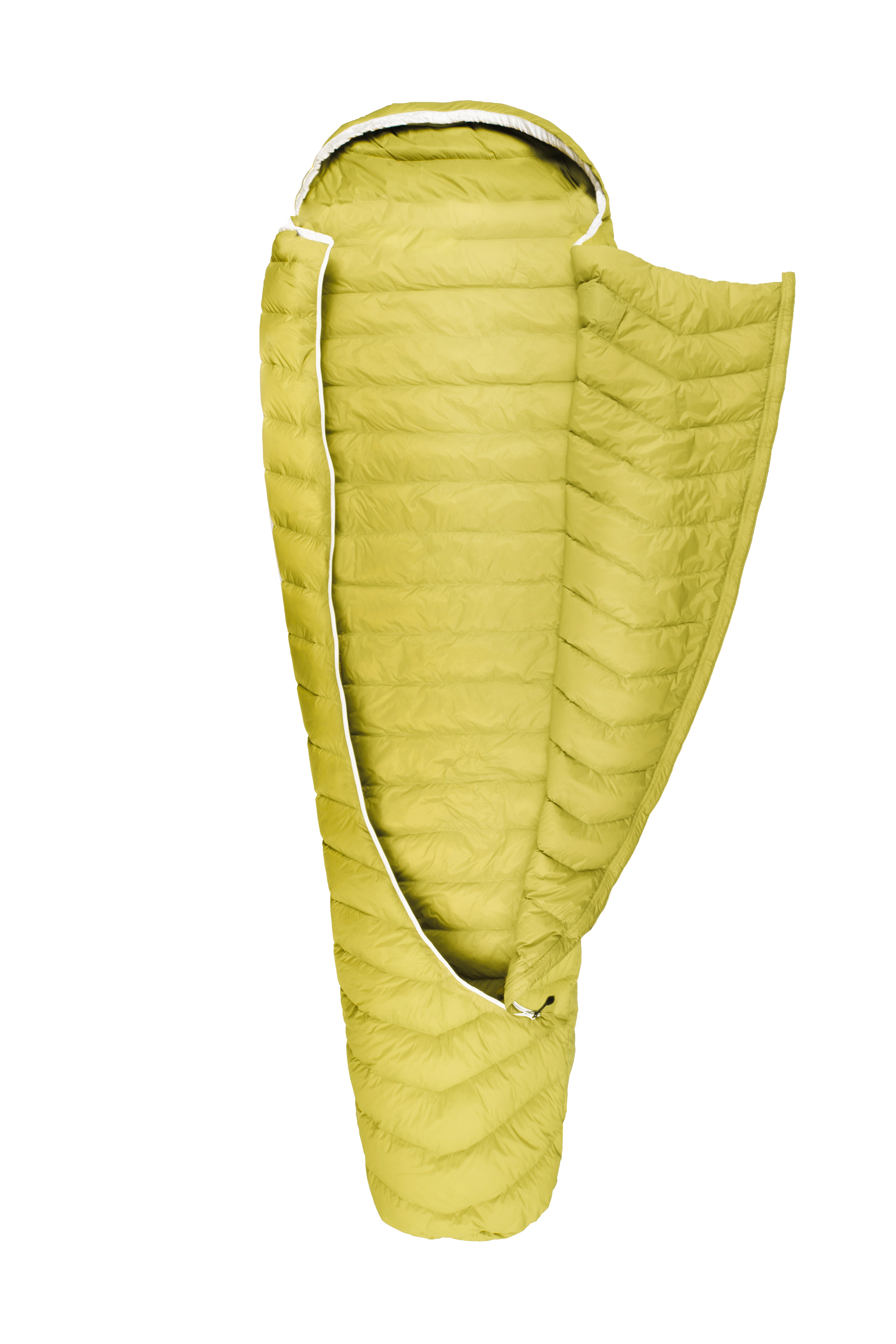 #colour_Warm Olive
