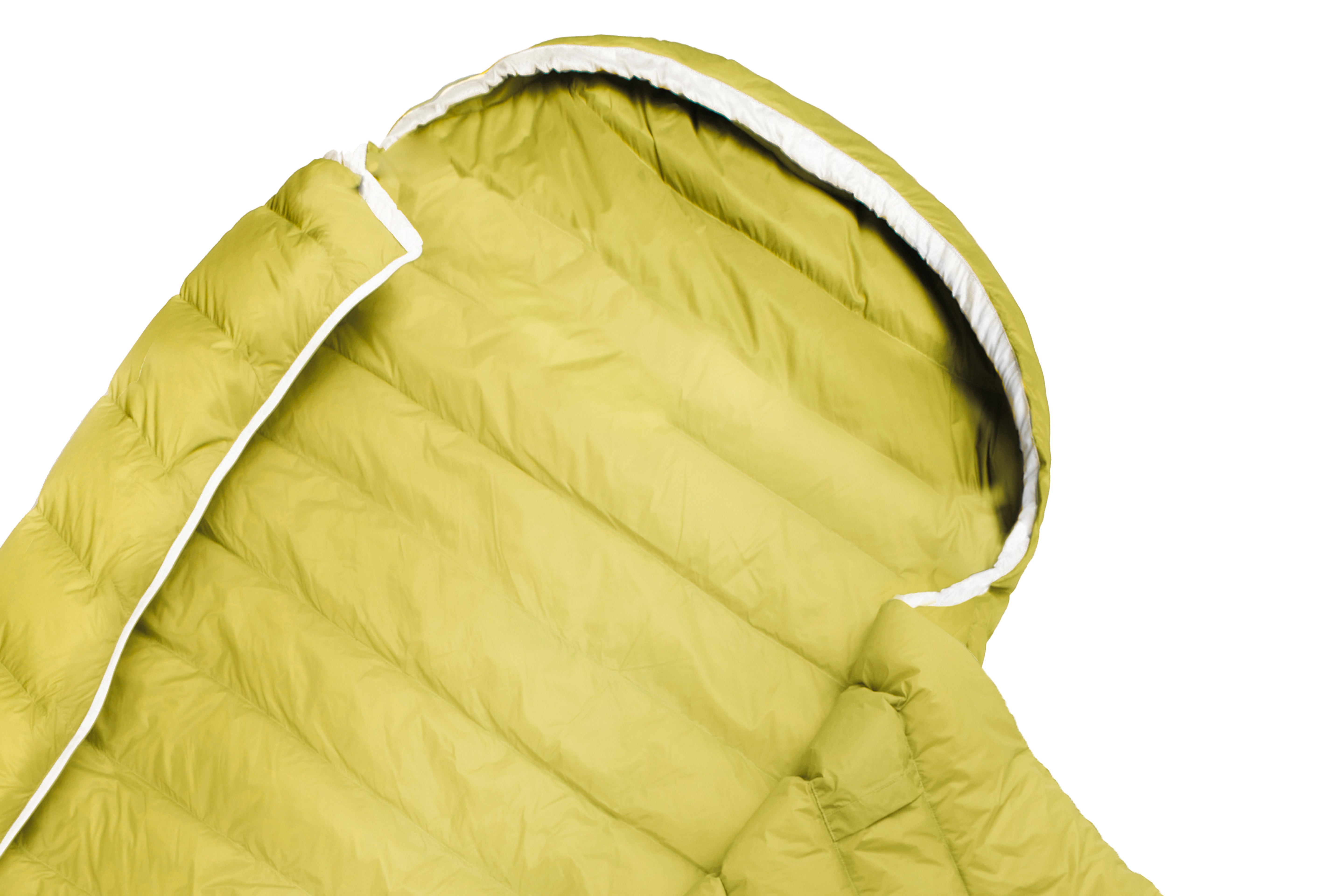 #colour_Warm Olive