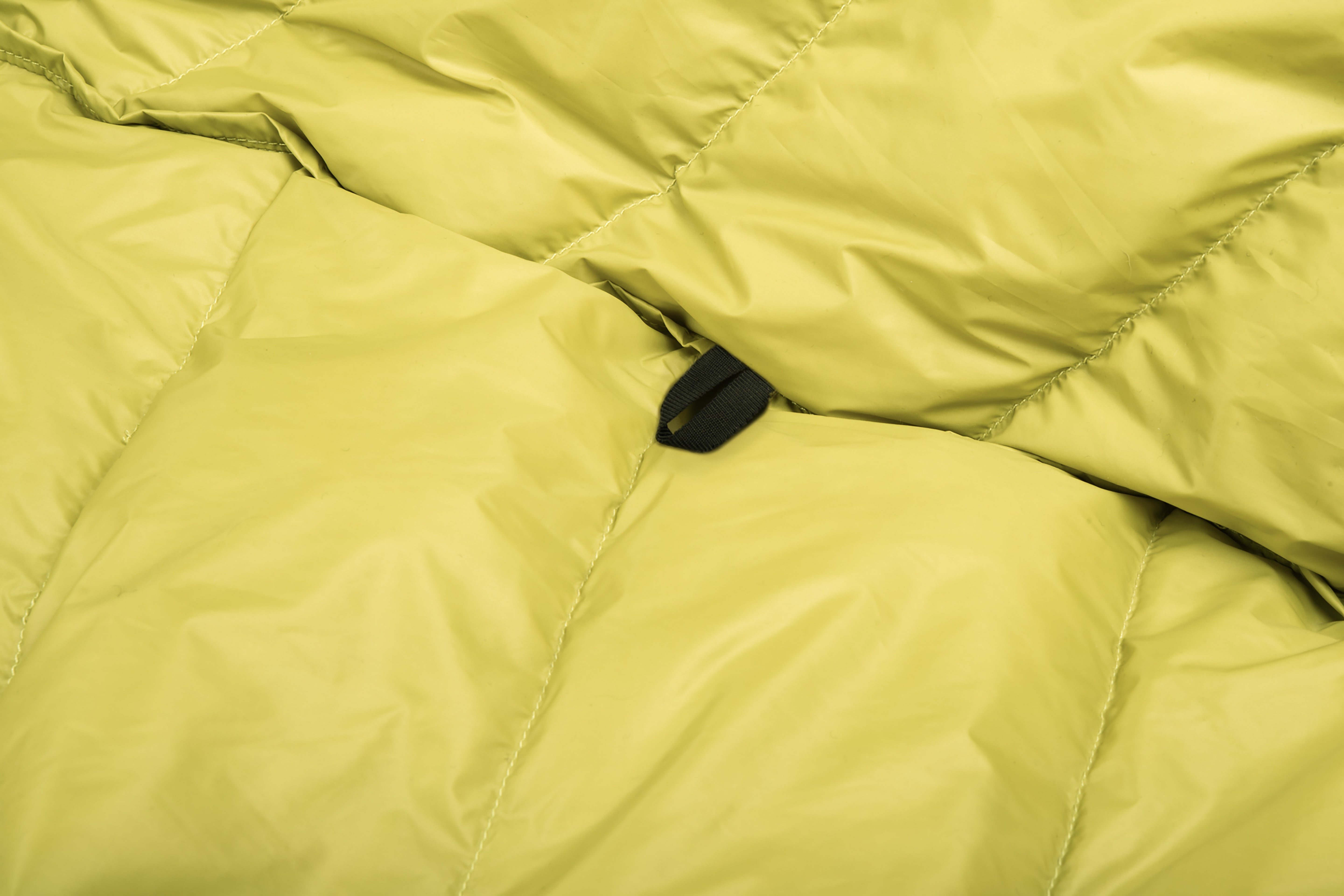 #colour_Warm Olive