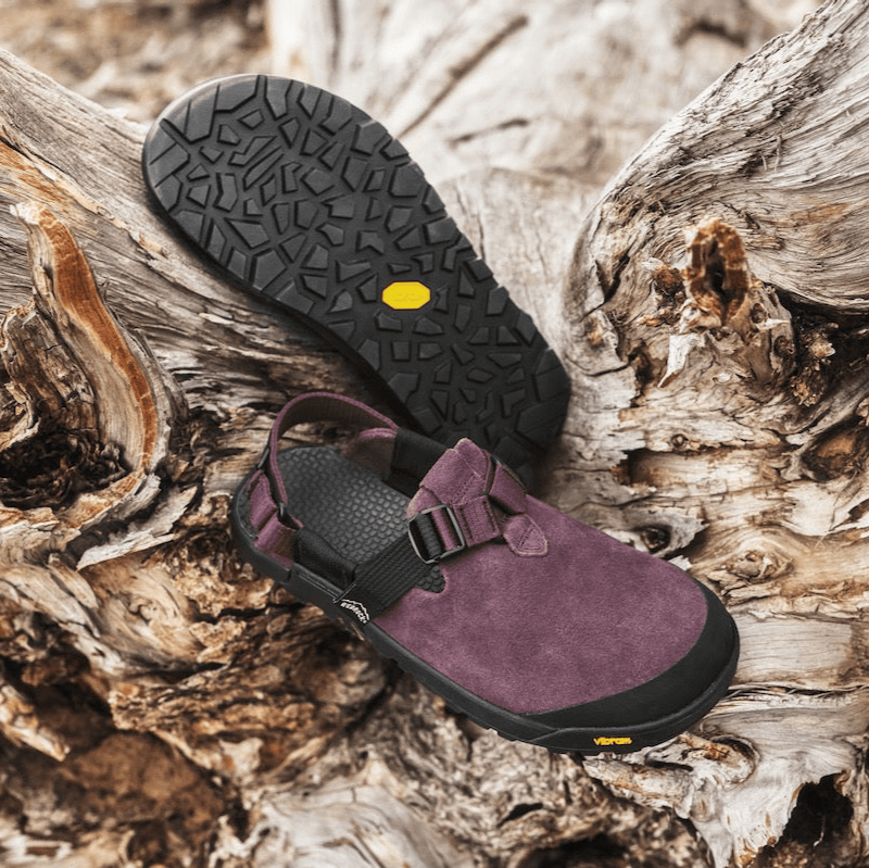 #colour_Deep Plum