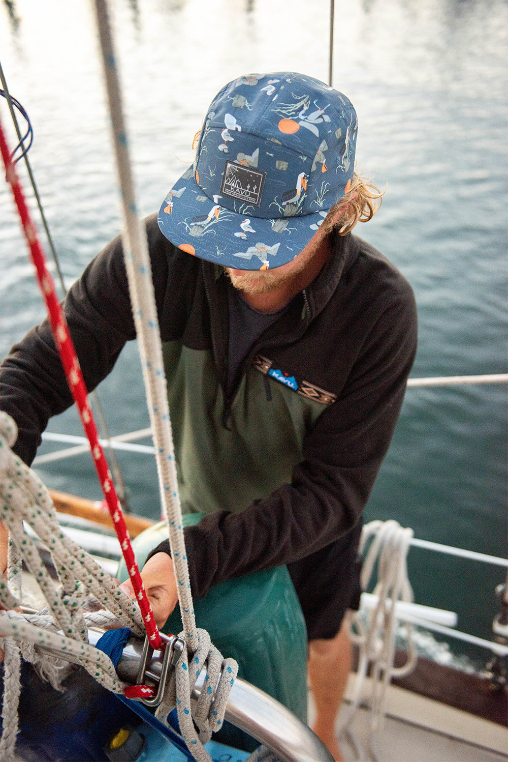 #colour_Angling Birds