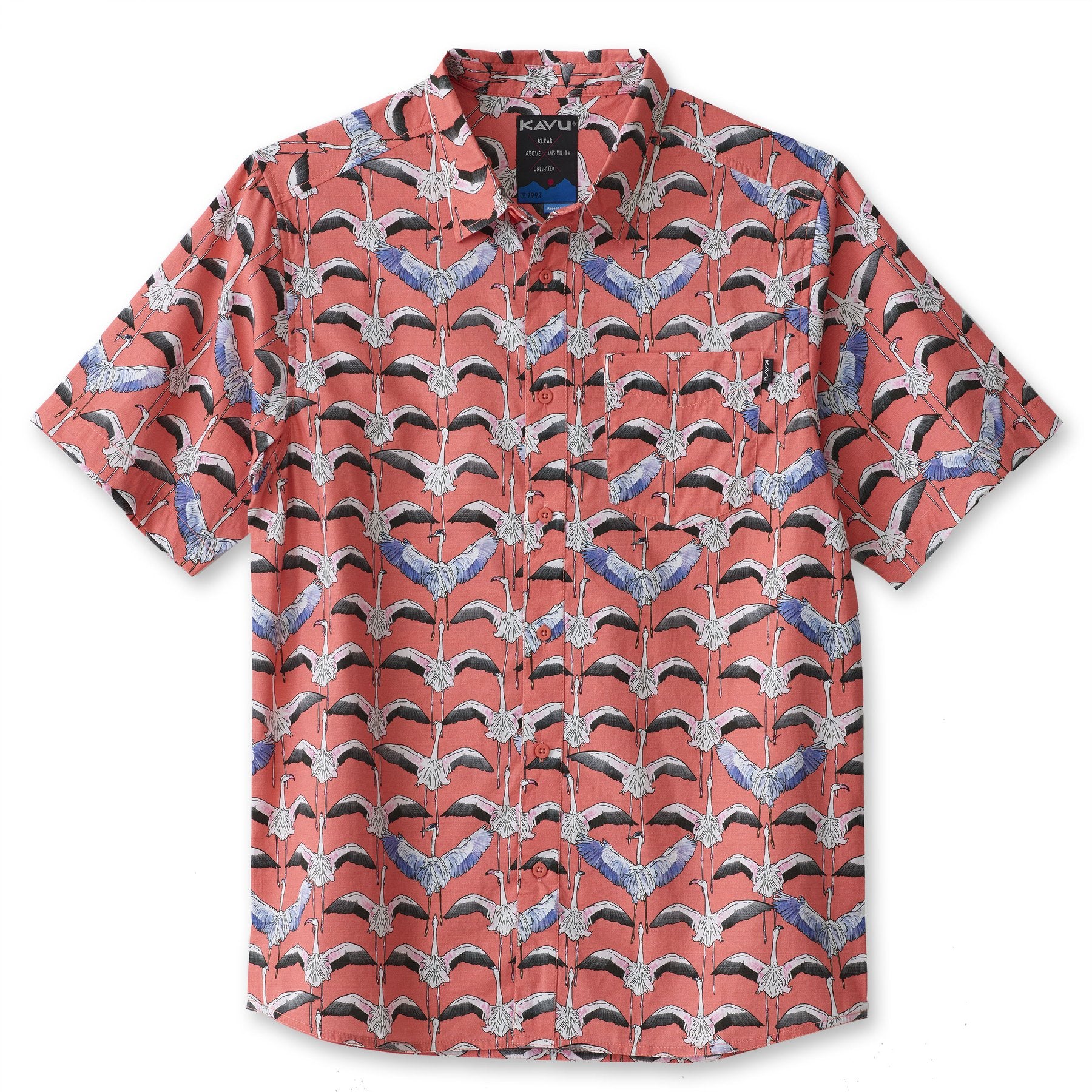 #colour_Flamingo Flys North