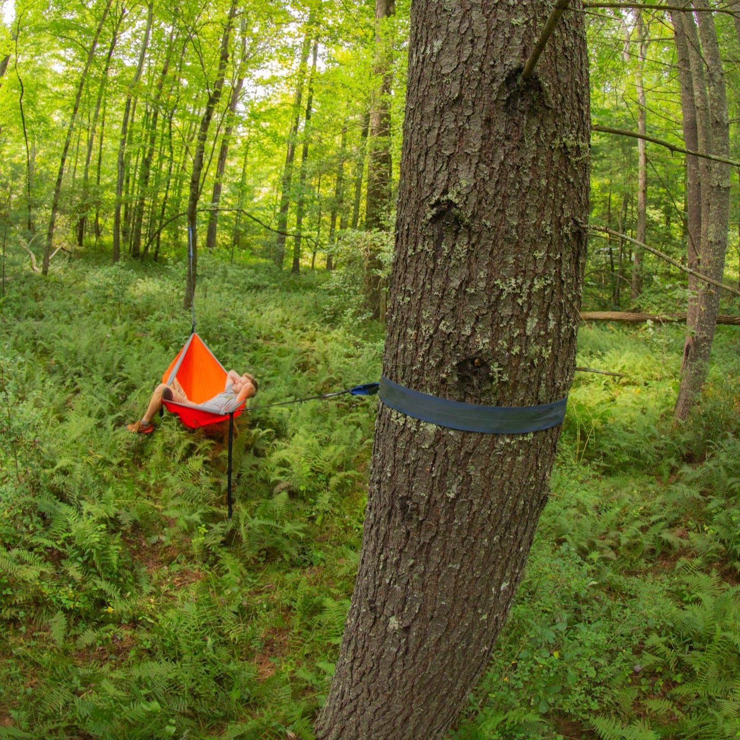 Atlas Extension Utility Strap