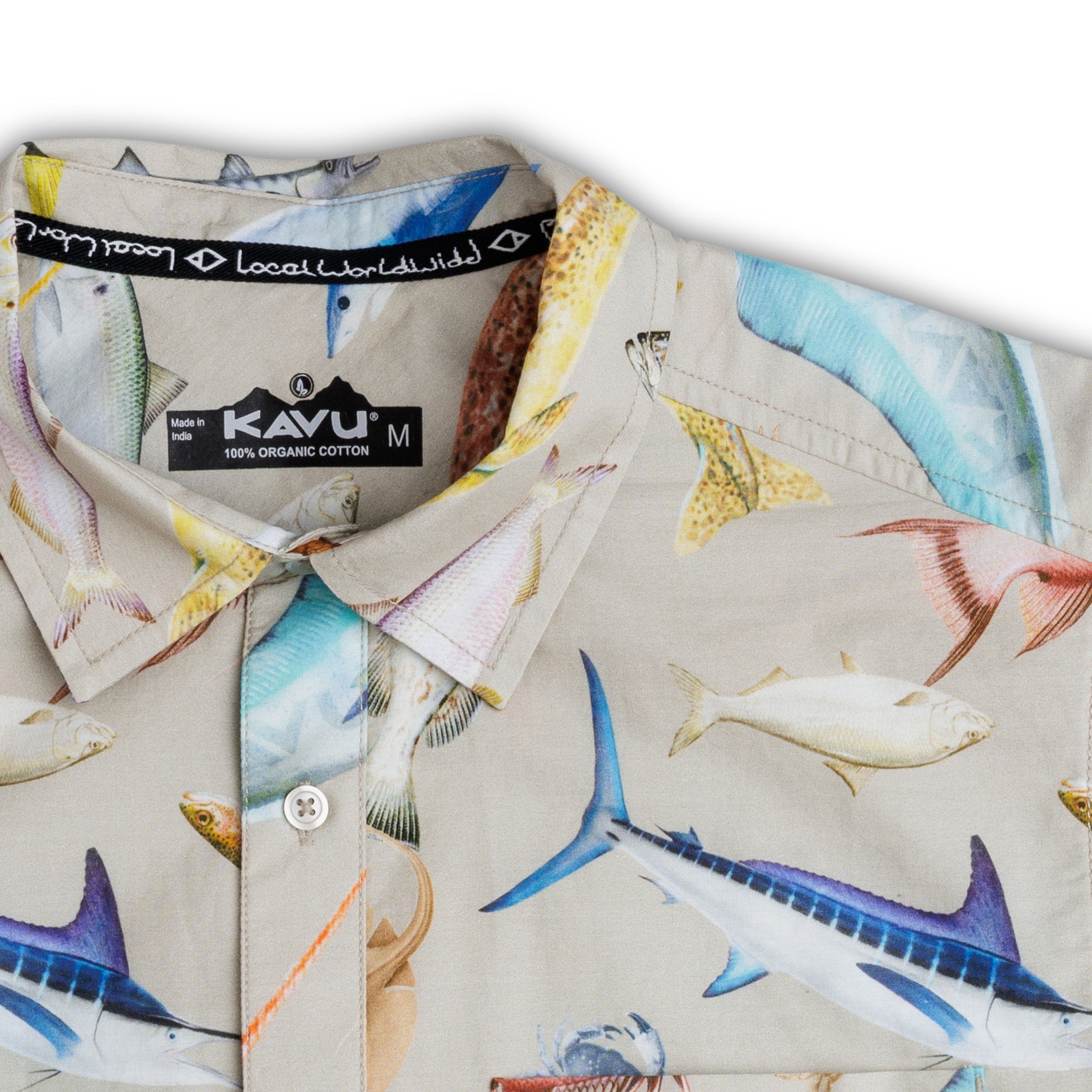 #colour_Gulf Fish