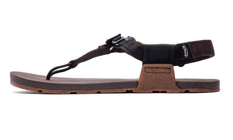 #colour_Bristlecone Brown